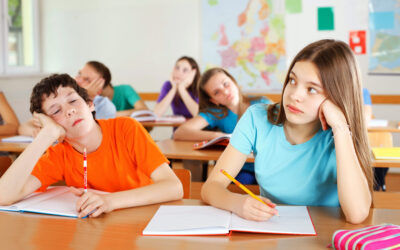 Moving Beyond Traditional Motivation in Education With The Will to Learn by Dave Stuart Jr.
